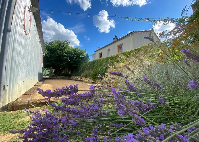 Vakantiehuis Grande Maison 8 Pers - Jardin 1600m2 -petanque - Calme *